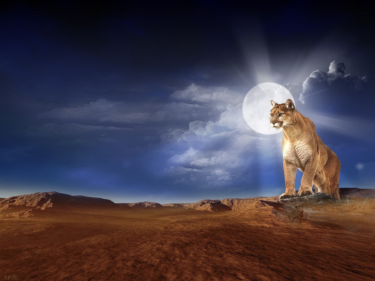 Animal%20wallpapers%20Photoshop%20Art%20mrm.jpg